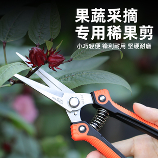热销不锈a钢园林园艺果树修剪树枝剪刀剪枝剪刀修枝剪家用花艺剪