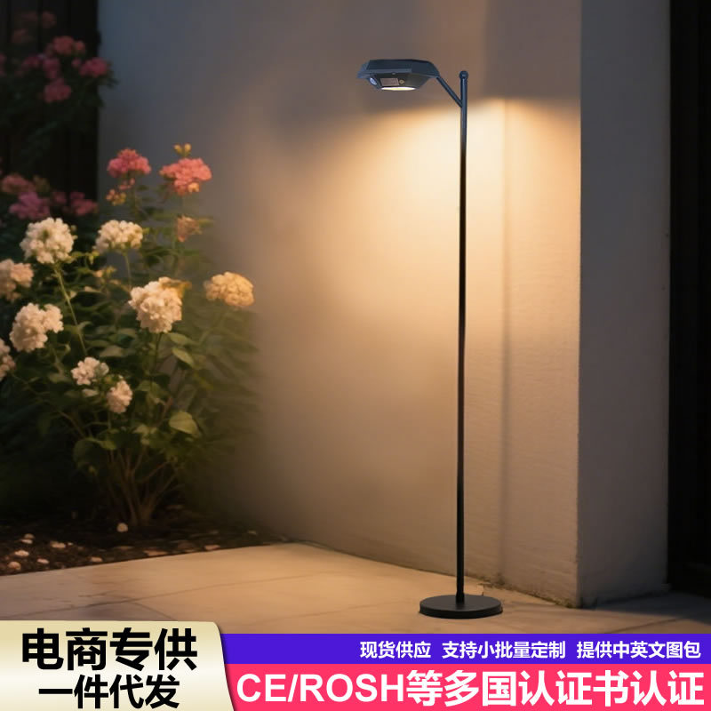 太阳能防水感应庭院壁灯