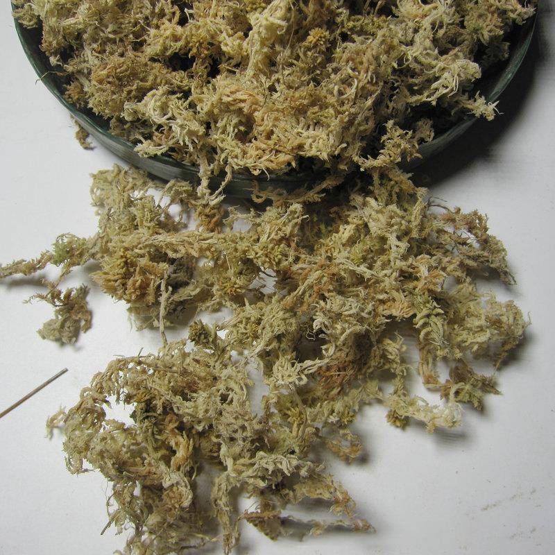 微景皮观水苔花卉营养基质铁苔TTC石斛蝴蝶兰爬宠冬眠材干藓垫绿