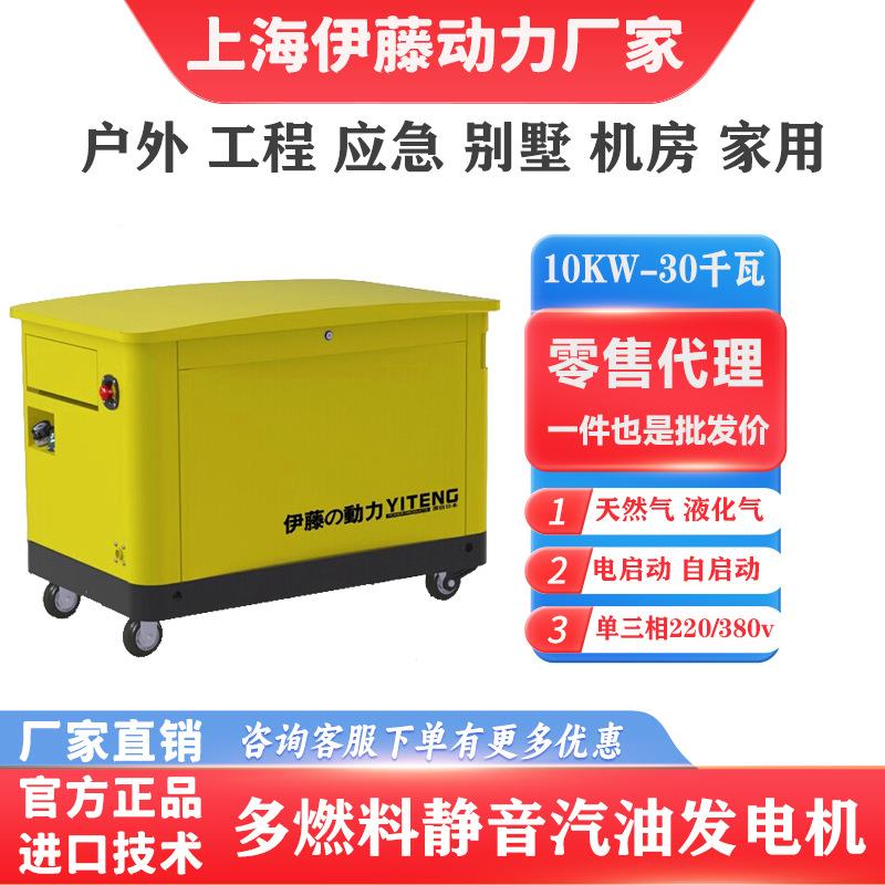 伊藤户力小体积大功率静音车动载式汽YT30RSE油发电机应急YT外15R