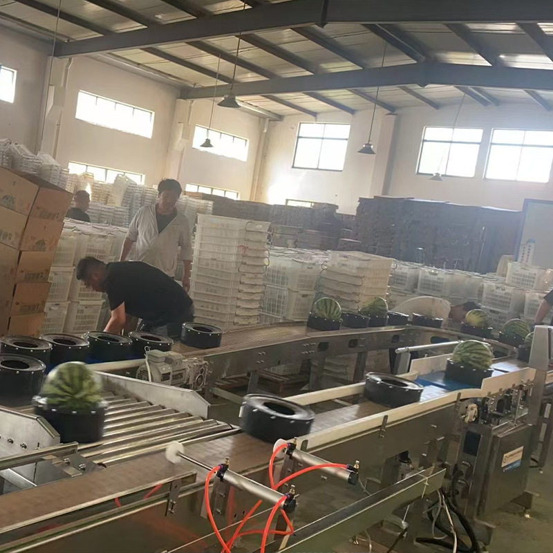 潍坊美都西瓜8424全自动分选机
