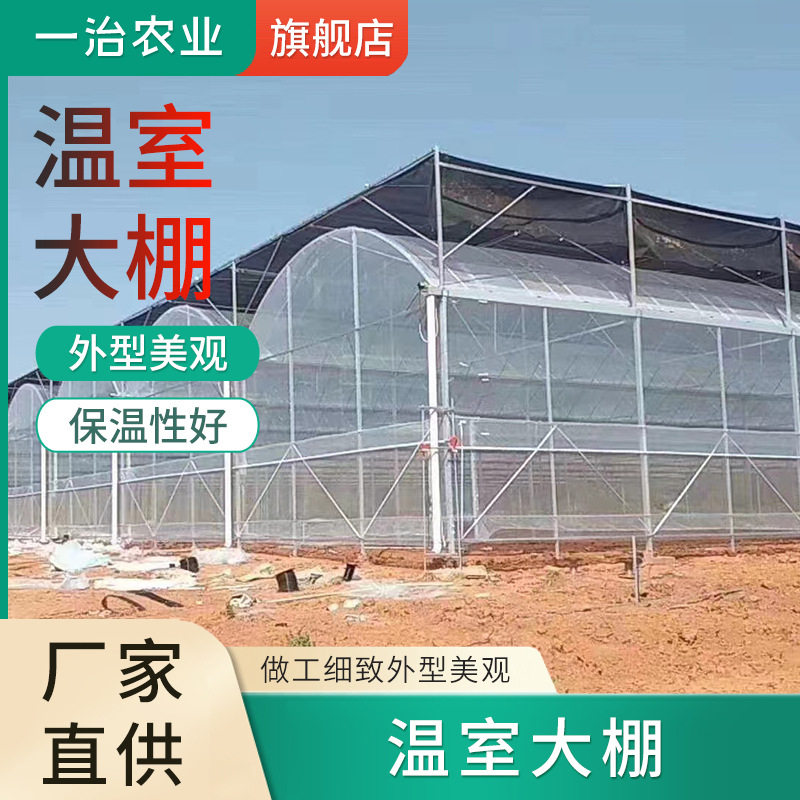 蔬菜花卉连栋智能温室钢结构