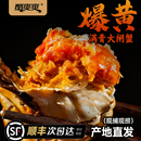 蟹爽爽活蟹大闸蟹鲜活现货公母配对蟹10只装 礼盒螃蟹半斤大蟹