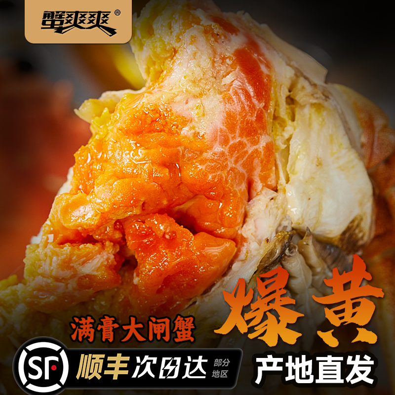 蟹爽爽鲜活大闸蟹礼盒