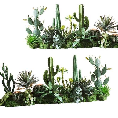 仿真人掌热带沙植物造景装饰商OIG摆场餐厅橱窗花仙槽件假仙人漠