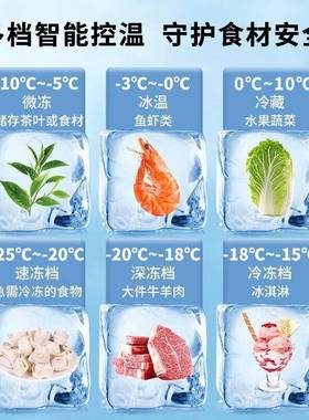 冷美凌时家两大容量卧式冷柜藏柜家ZZ101258尚用保鲜冰柜商用冷冻