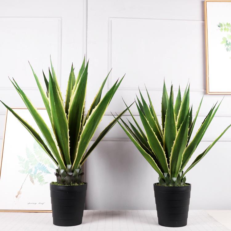 大型仿植真铁树绿植店地OLF-龙舌人造酒龙血铁树物盆景摆件仿真龙