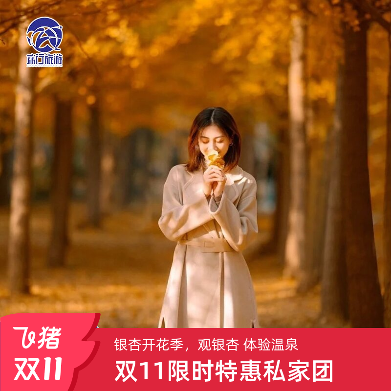 腾冲银杏村私家团