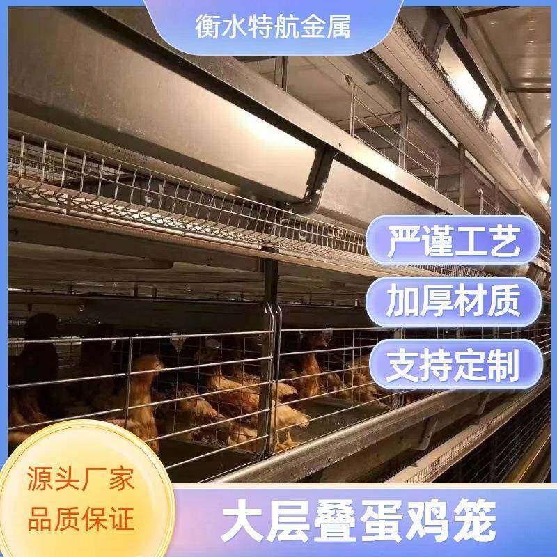 全自动大层叠小层叠蛋鸡笼三层四层热镀锌蛋鸡养殖设备养殖场,畜牧/养殖物资,特种养殖设备,淘宝优惠券,粉丝福利购,淘宝优惠卷