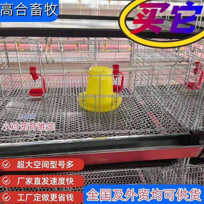 蛋鸡小鸡笼育雏笼四层立体式左右拉门加密镀锌丝带水箱鸡舍养殖笼,畜牧/养殖物资,特种养殖设备,淘宝优惠券,粉丝福利购,淘宝优惠卷