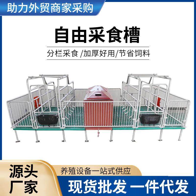 母猪产床母猪分娩产床2.2*3.6米热镀锌管养猪设备双体产床,畜牧/养殖物资,特种养殖设备,淘宝优惠券,粉丝福利购,淘宝优惠卷