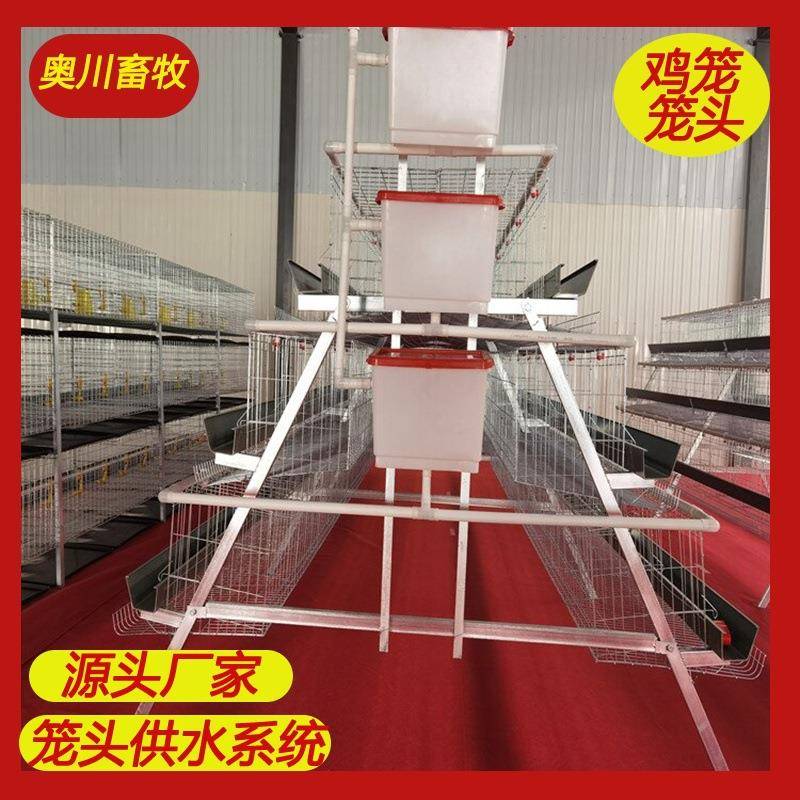 鸡笼笼头供水系统水箱支架开关三通弯头堵头所有有关鸡笼配件