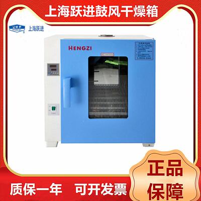 鼓风干燥箱GZX-GF101-4/5-BS-ⅡHGZF-II-101-0/1/2/3/4/5