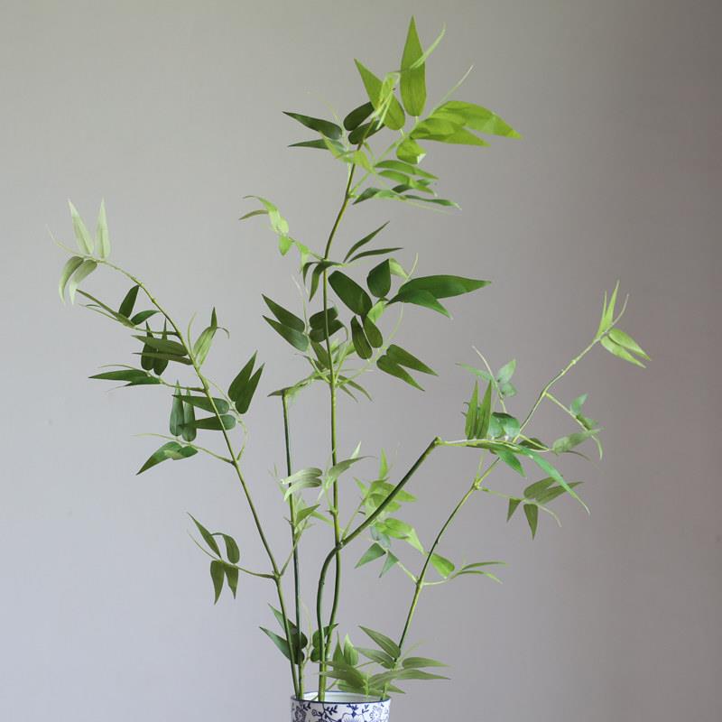 彷小叶簕插竹EXR竹子绿植禅意花客厅室真花艺装饰摆饰假内花单支