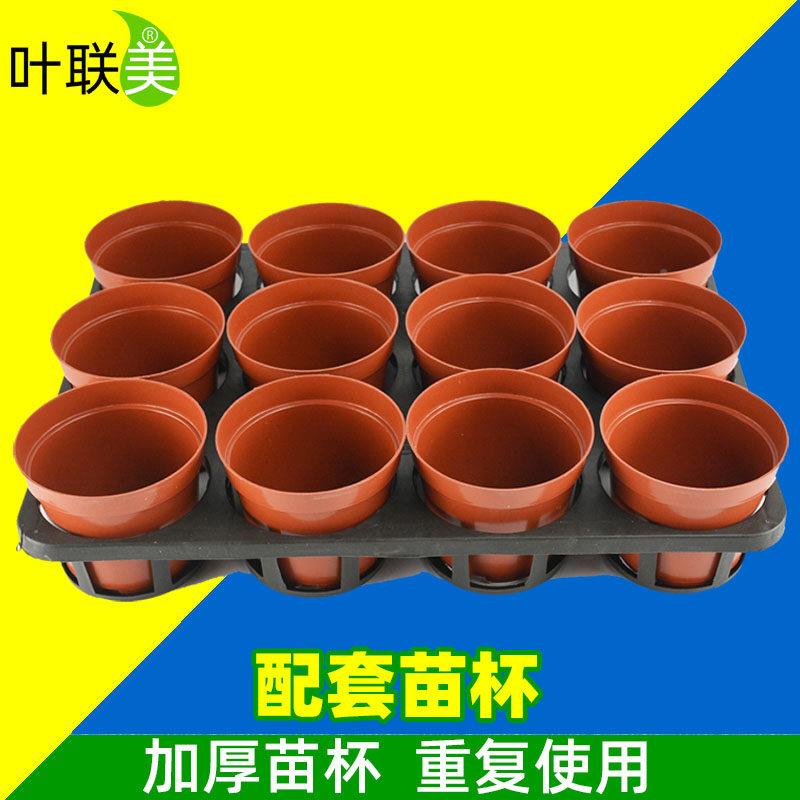 个装托架托盘养杯育苗杯塑料THYMB36-钵花五盆托盘蝴蝶兰周转穴盘