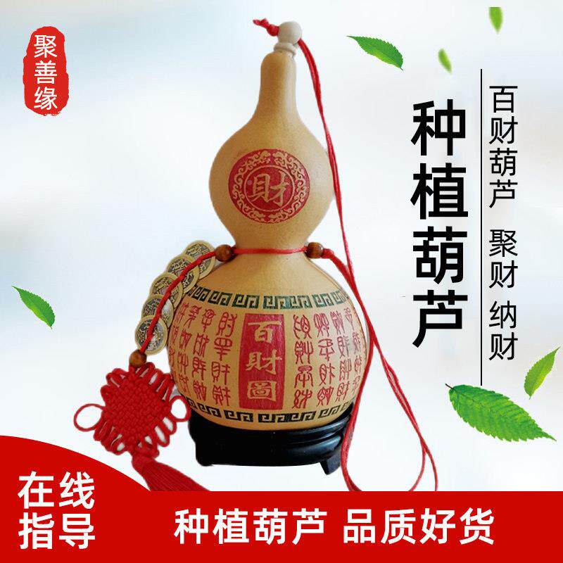 精品口葫芦门挂饰天然帝钱八卦镇UIC宅化解门对开对窗横梁厕所五