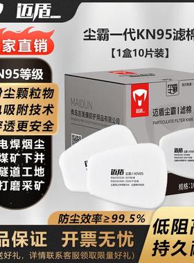 迈盾尘霸Ⅰ过滤棉 高透气 持久耐用 6n11 5n11 升级版滤棉 防尘棉