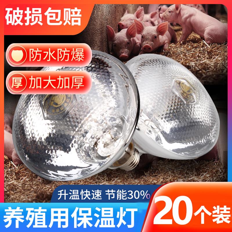 猪博士仔猪用保温灯养殖场专用小鸡育雏保温灯加热烤灯取暖保暖灯