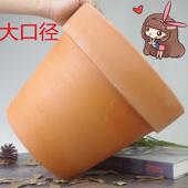 特大号口径高圆形红陶土花盆带底孔大型绿植花盆客厅落地透气花盆