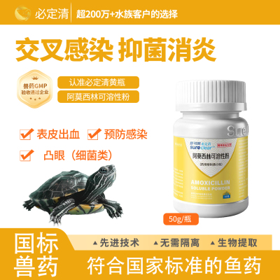 必定清黄粉鱼药消炎杀菌趴缸专用
