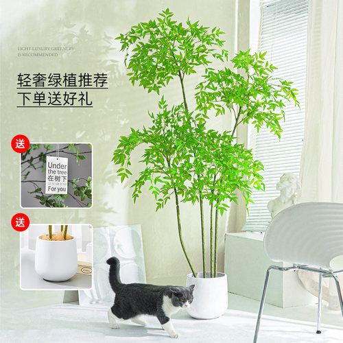 速发仿真绿植南天竹假植物盆栽客厅装饰摆件高端轻奢假花仿真花摆