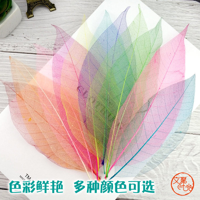 速发叶脉书签材料学生用自制树叶书签儿童幼儿园创意手工植物标本