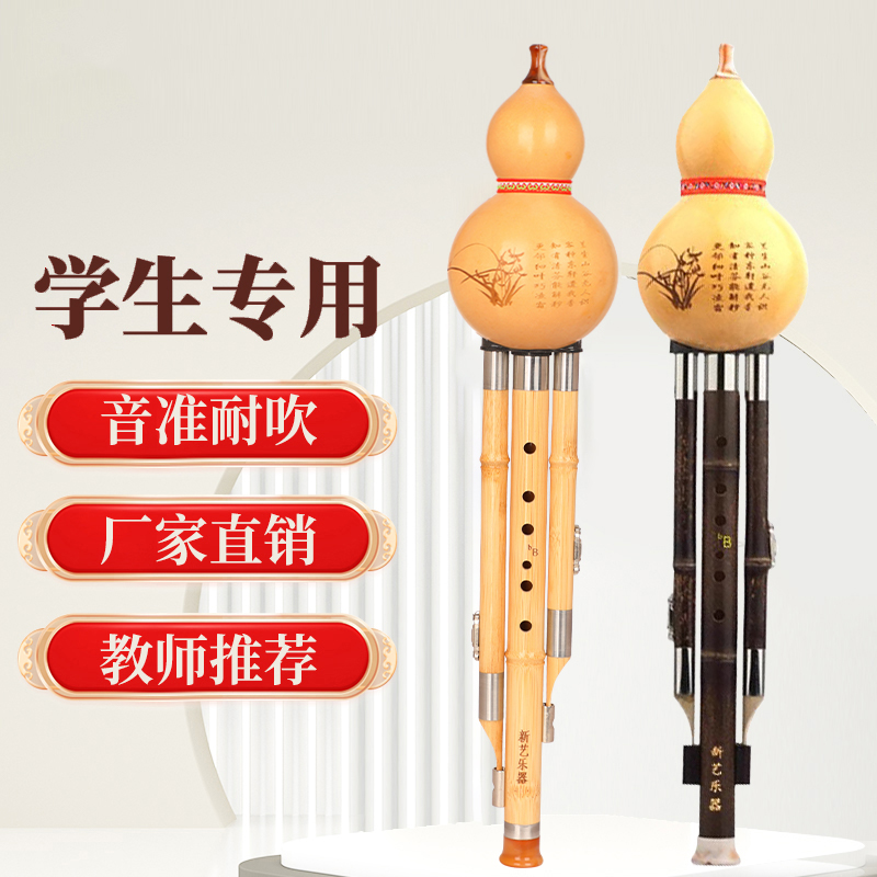 紫竹葫芦丝乐器降B调c调初学小学生专业演奏成人儿童自学零基础