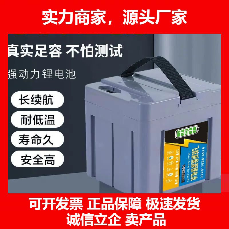 德国十大品牌电动车手提锂电池60V台铃同防水锂电瓶