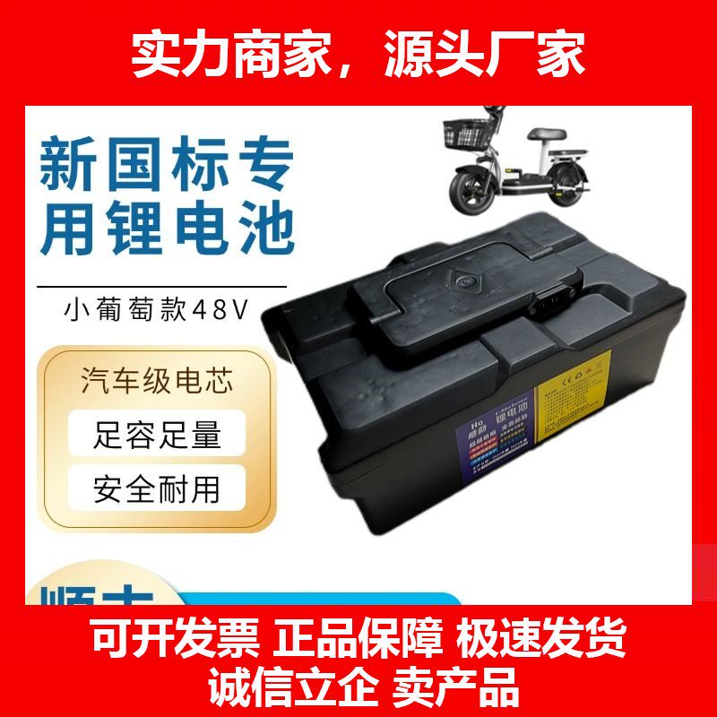德国十大品牌48v新锂电池小葡萄适用二轮电动踏板车可拆卸型