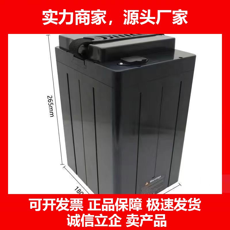 德国十大品牌新48V同电动踏板车锂电池大容量蕥迪型全