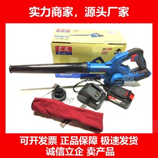 德国十大品牌无刷锂电吹风机20V充电式DCQF32B工艺级强力除尘器鼓
