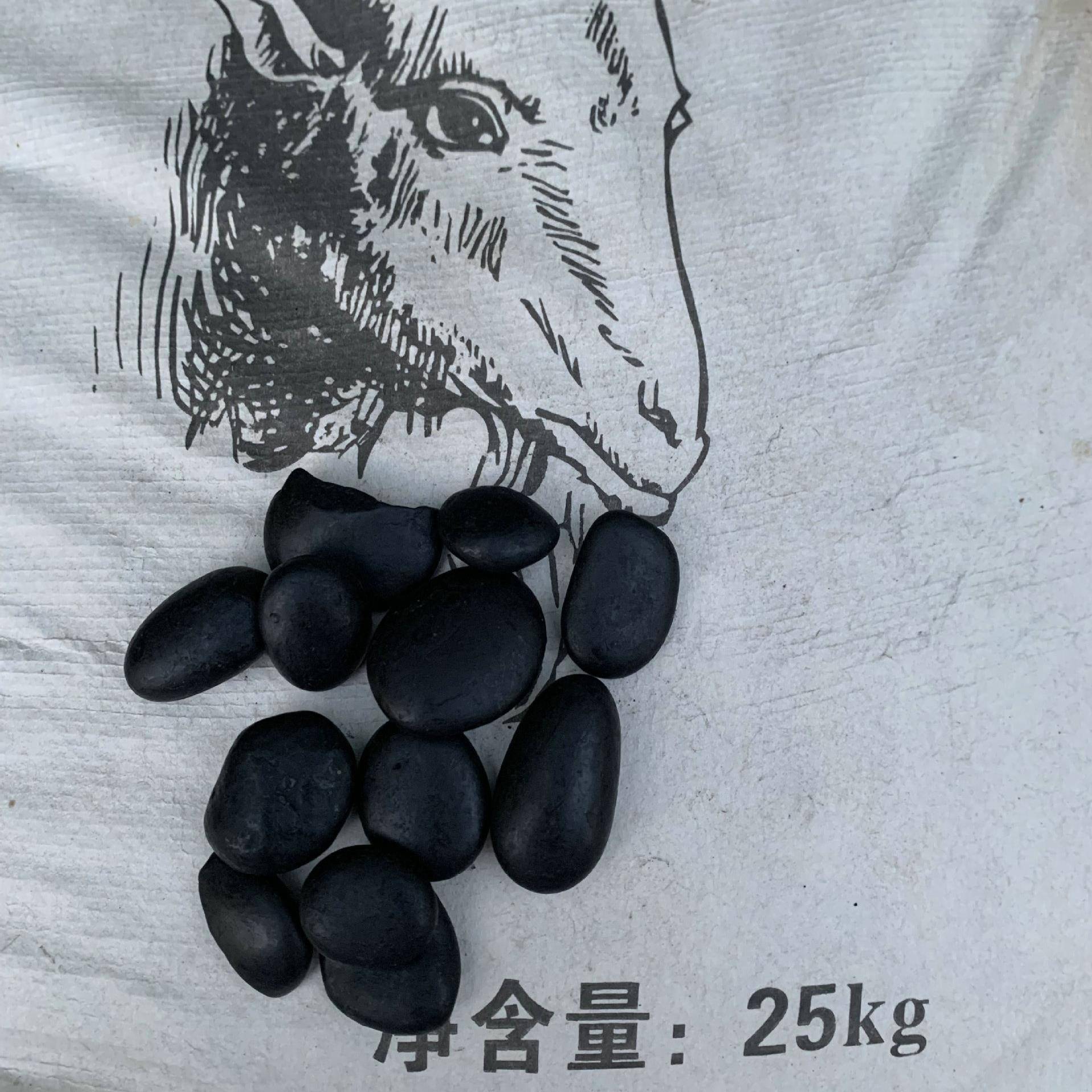 普光卵黑色鹅石雨石园KBG林景观设花计水子池垫底排水沟石圆形有