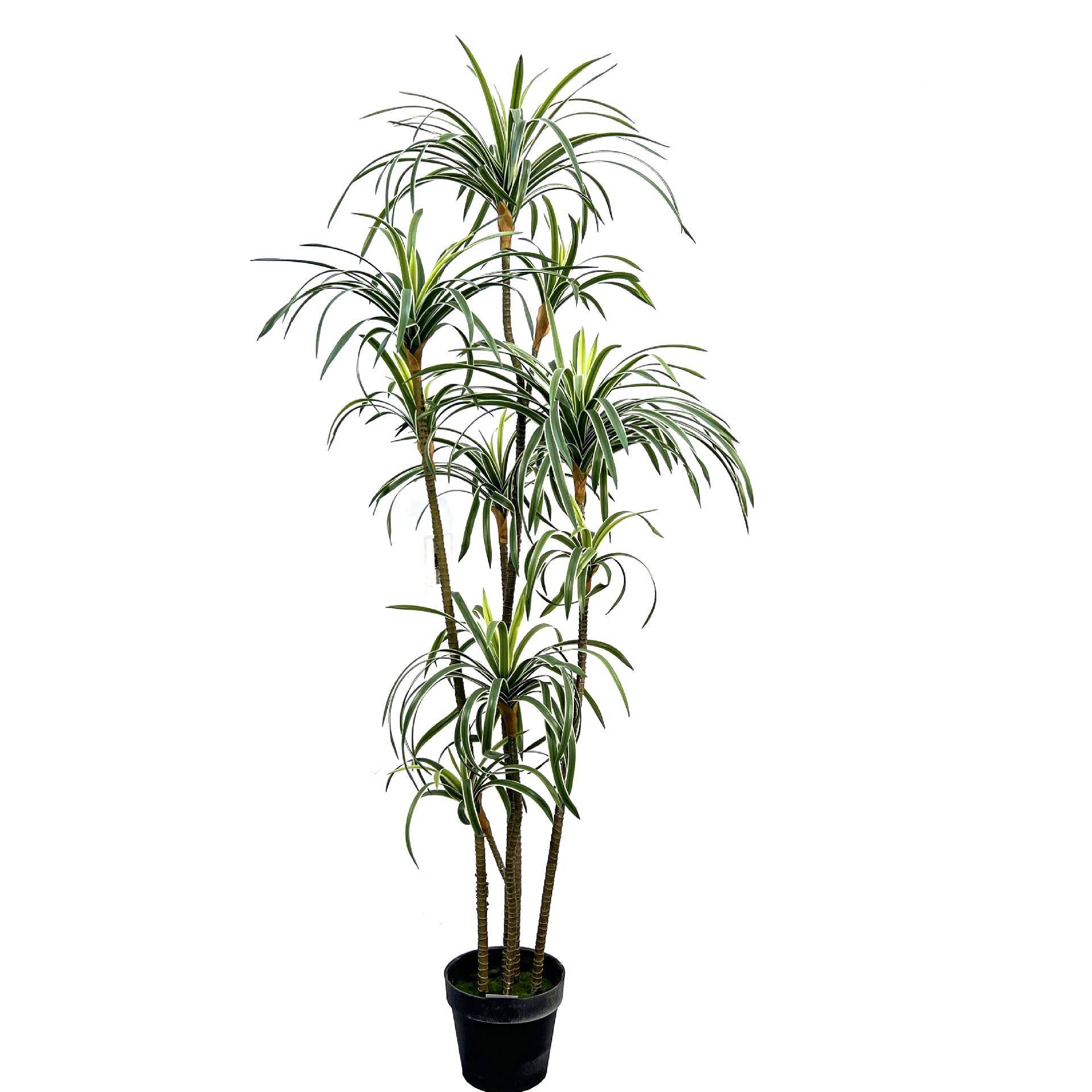 大地型仿真龙血树千植年木假绿树植物室内客厅落盆栽XVR造景装饰