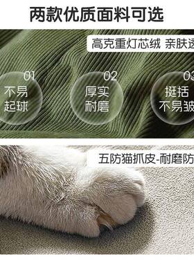 沙发客厅小户型民宿出租房双人约灯三芯布艺耳朵简FUY绒美式直排