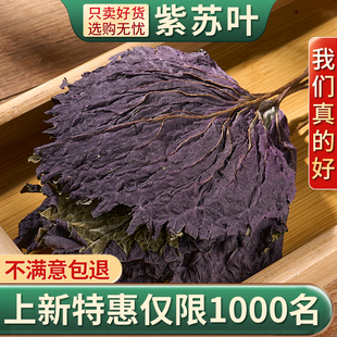 野生紫苏叶500g天然苏子叶干泡茶烧鱼虾蟹去腥香料泡茶中药材正品