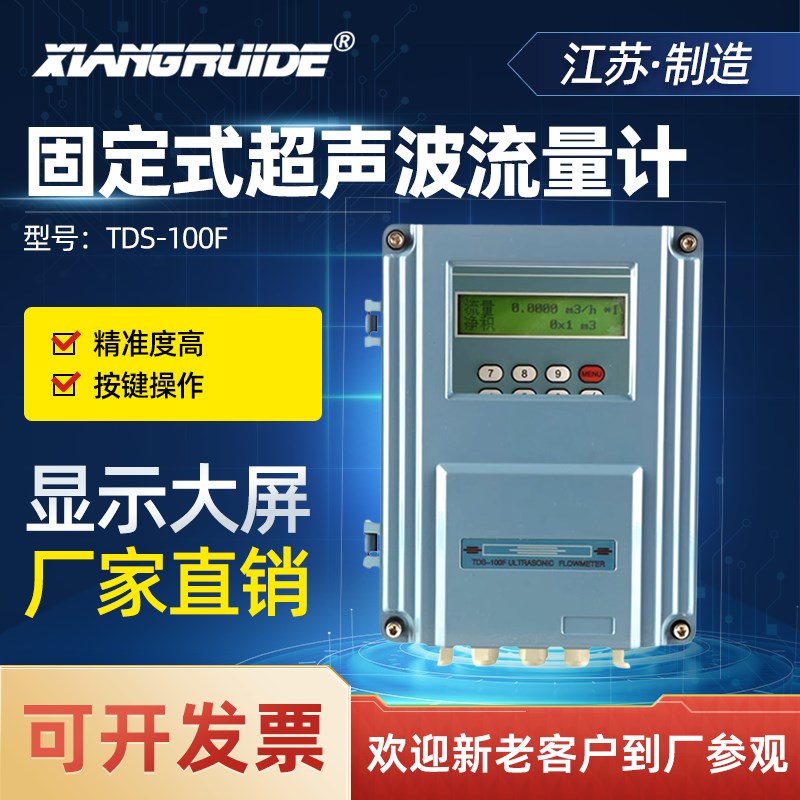 固定式超声波/液体流量计  插入式超声波流量计 TDS100F