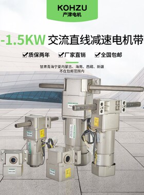 90W250W750W直线带刹车220V水平380螺杆垂直往复感应齿轮减速电机