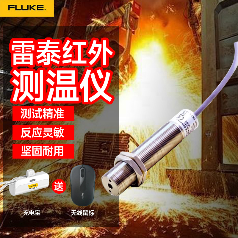 雷泰Raytek CIX CIEA CIEB迷你型红外测温仪高精度在线式测温探头