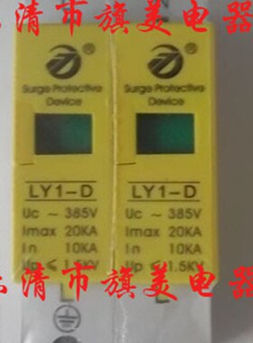 浪涌保护器 防雷保护器 10-20KA C级保护/单相家用2P 防雷器