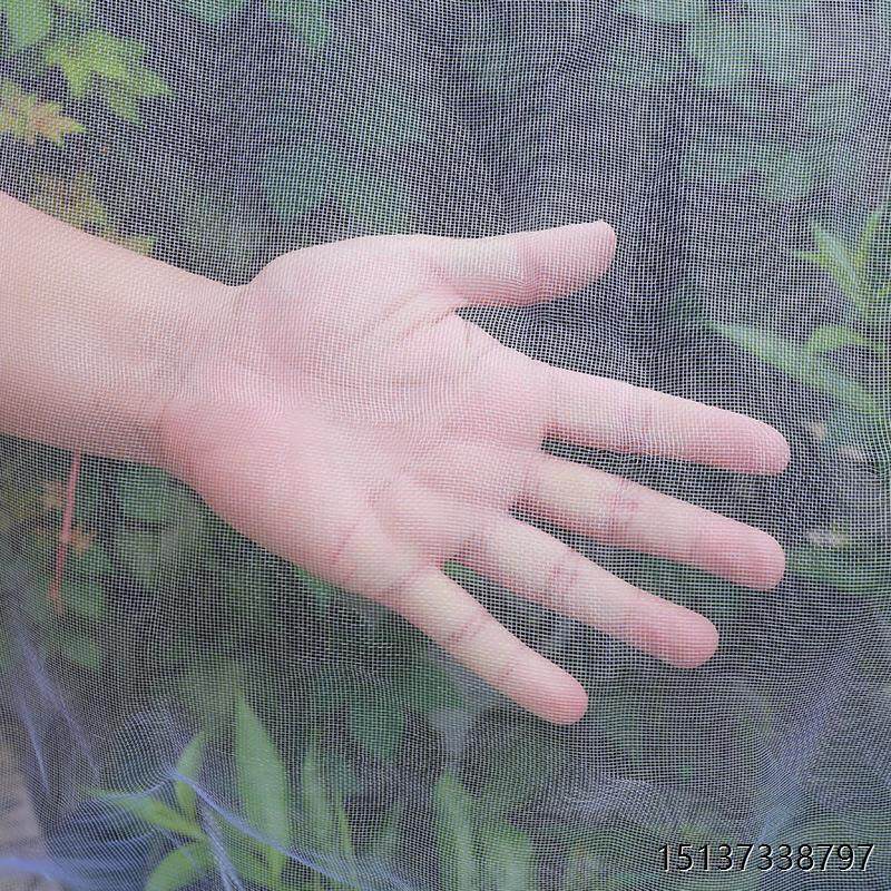 蔬菜种植20目60目蔬菜果树大棚专用防虫网农业加厚防虫网大棚支架