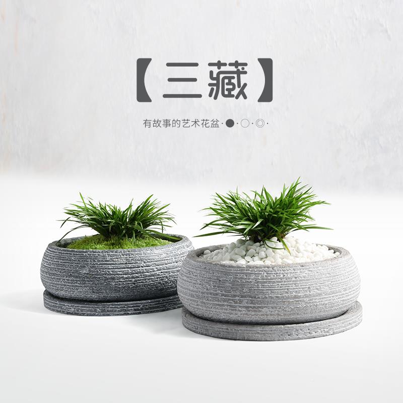 金钱菖蒲草盆栽摆绿件室内dua植石头盆办公室节叶观植物情人礼物