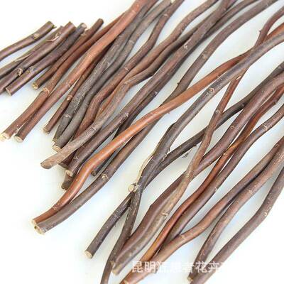 干花龙柳木棒侘寂风天然禅意民宿客厅插花干枝装饰材料