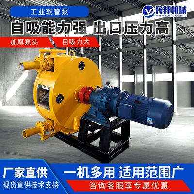 工业软管泵防腐蚀固液输送泵粘稠介质大流量挤压式蠕动软管泵