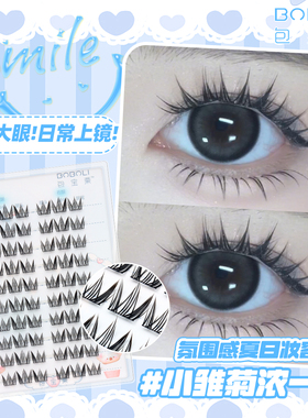 包宝栗浓一点小雏菊·10-12mm漫画大眼浓密上镜款新手单簇