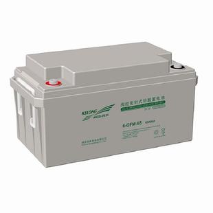精卫科华蓄电池6 65铅酸电瓶12V65ah太阳能光伏储能蓄电池 GFM