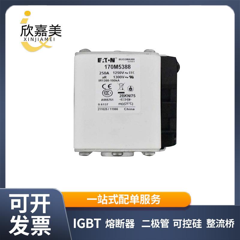 170M5388 170M5398 快速熔断器 保险丝 电子元器件 量大价优