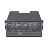 XSK CHA1B1S2V1控制仪数显仪数字显示报警仪快速测控型数显表
