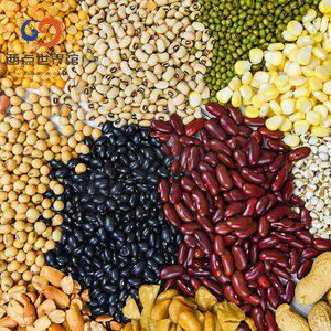 Indian pules 印度豆子 moong dal Chana dal red dal 1kg Rajma