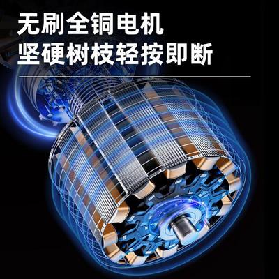 潭祖锂电b电动剪刀充电式园林果树专用修枝剪剪树枝电剪子剪枝神