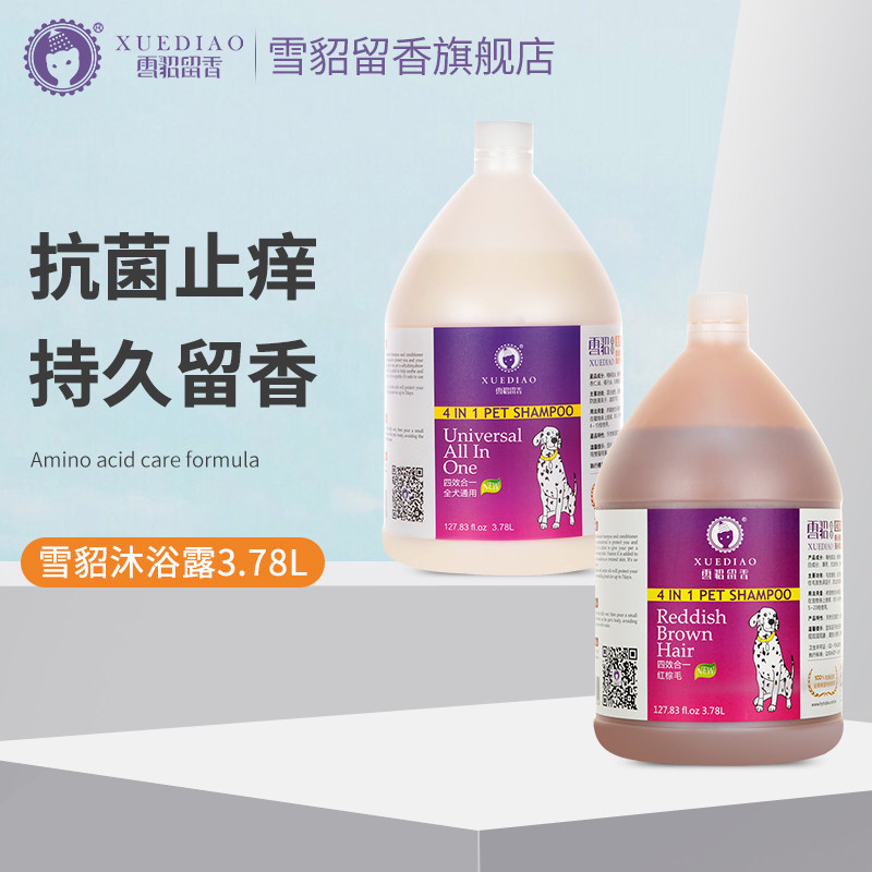 速发澡貂留香大桶泰用洗雪香波通迪金毛萨摩耶浴液